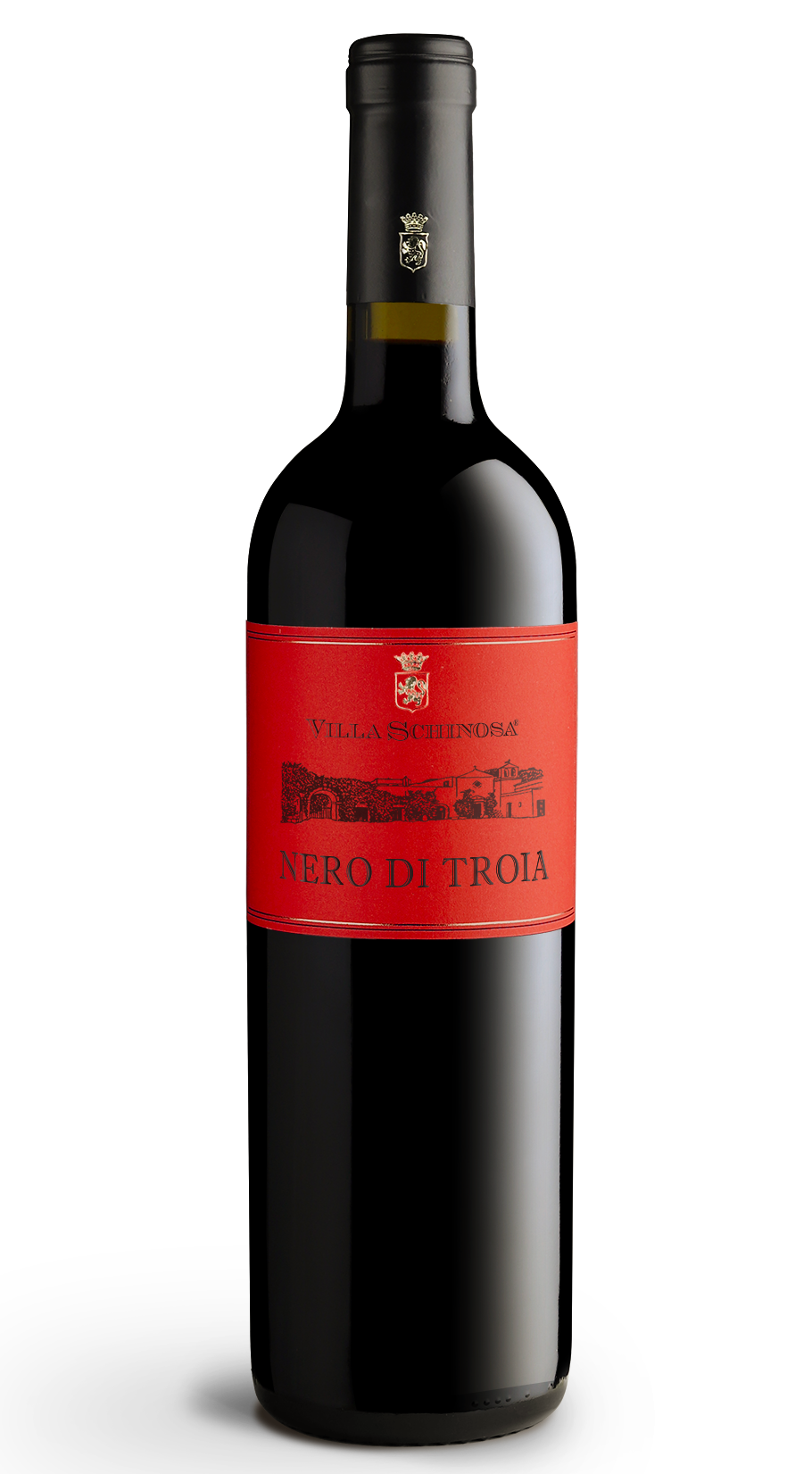 Bottiglia Nero di Troia