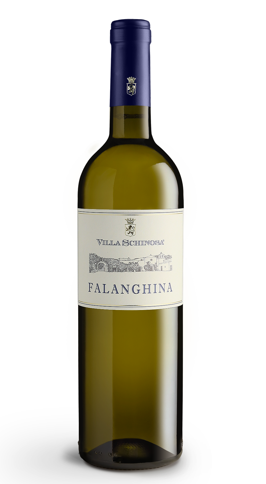 Bottiglia Falanghina